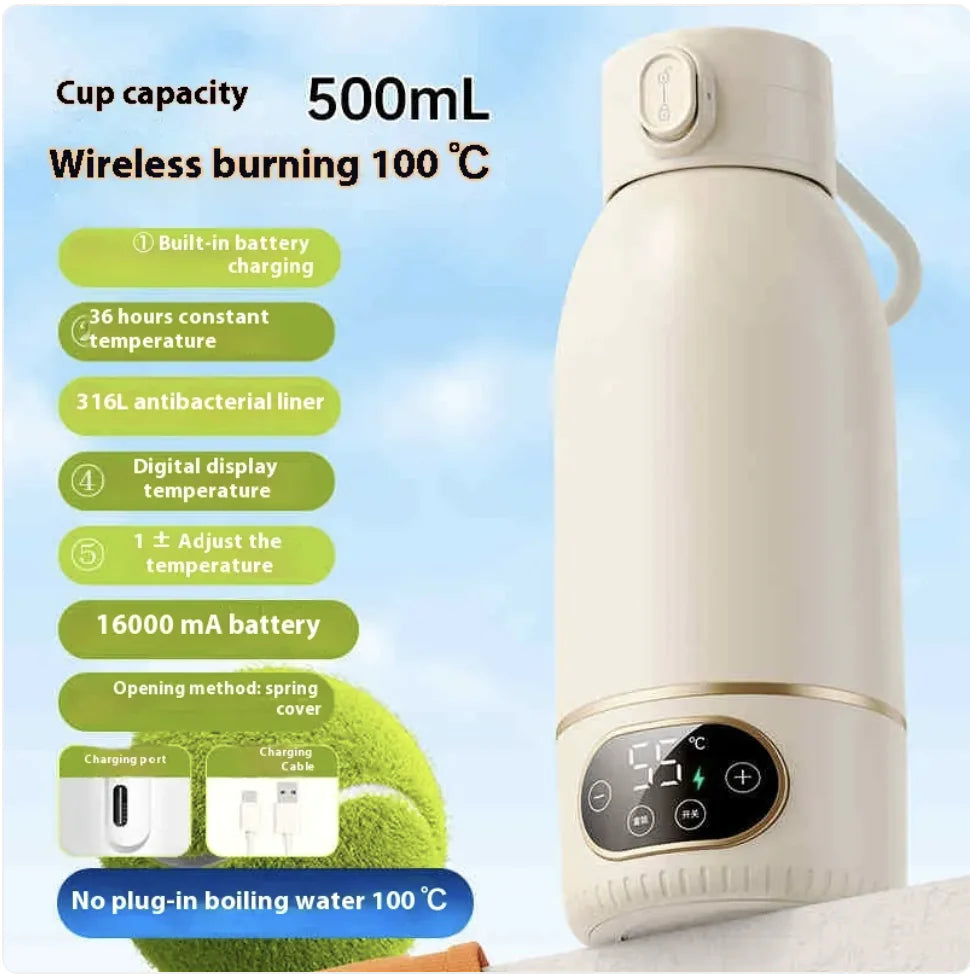 Portable Electric Kettle
