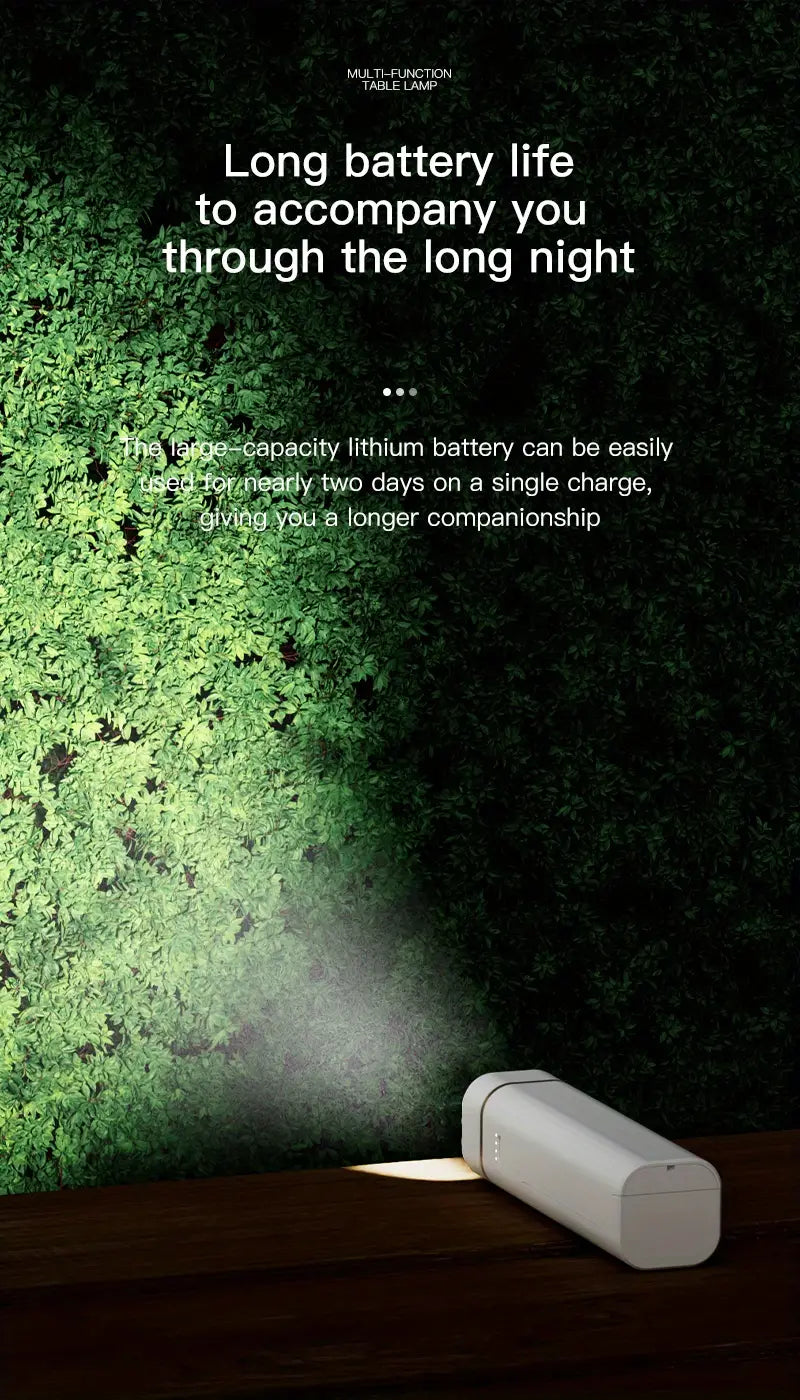 Multifunctional LED Reading Desk Lamp with Power Bank